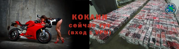 дмт Лиски