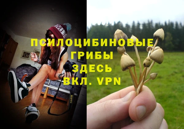 каннабис Абаза