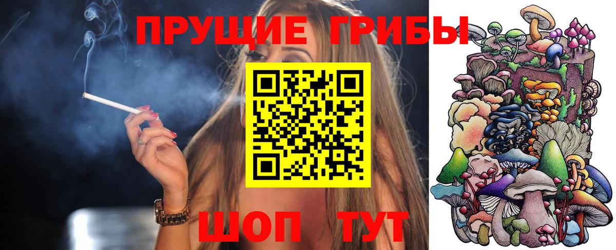 Галлюциногенные грибы прущие грибы  наркота  Янаул  Вход с VPN 